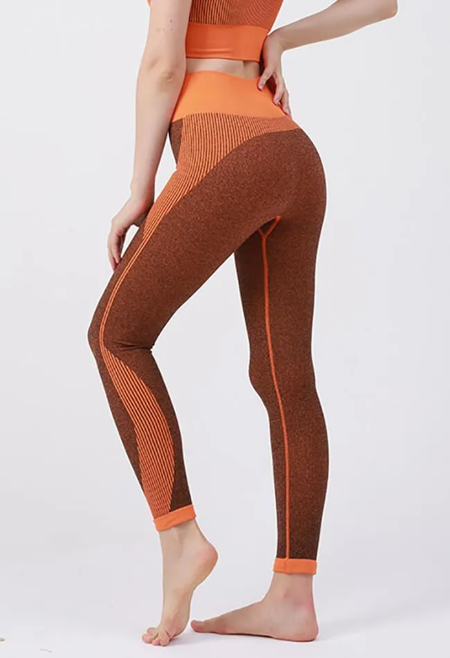 Ambition Legging