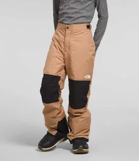 The North Face Boys' Freedom Insulated Pants